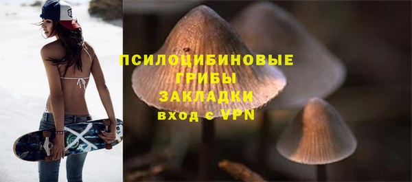 Альфа ПВП Алзамай